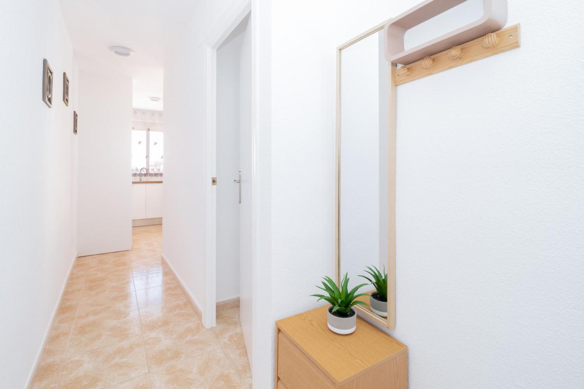 Apartamento 50M Al Mar Torrevieja Dış mekan fotoğraf